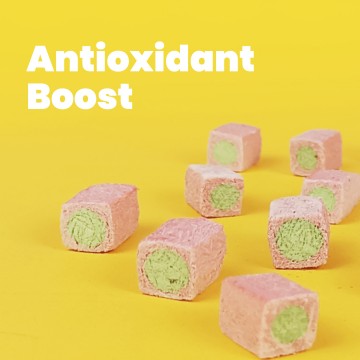 All Too Good Freeze-Dried Treats Chic w/Mixed Berries Antioxidant Boost 100g